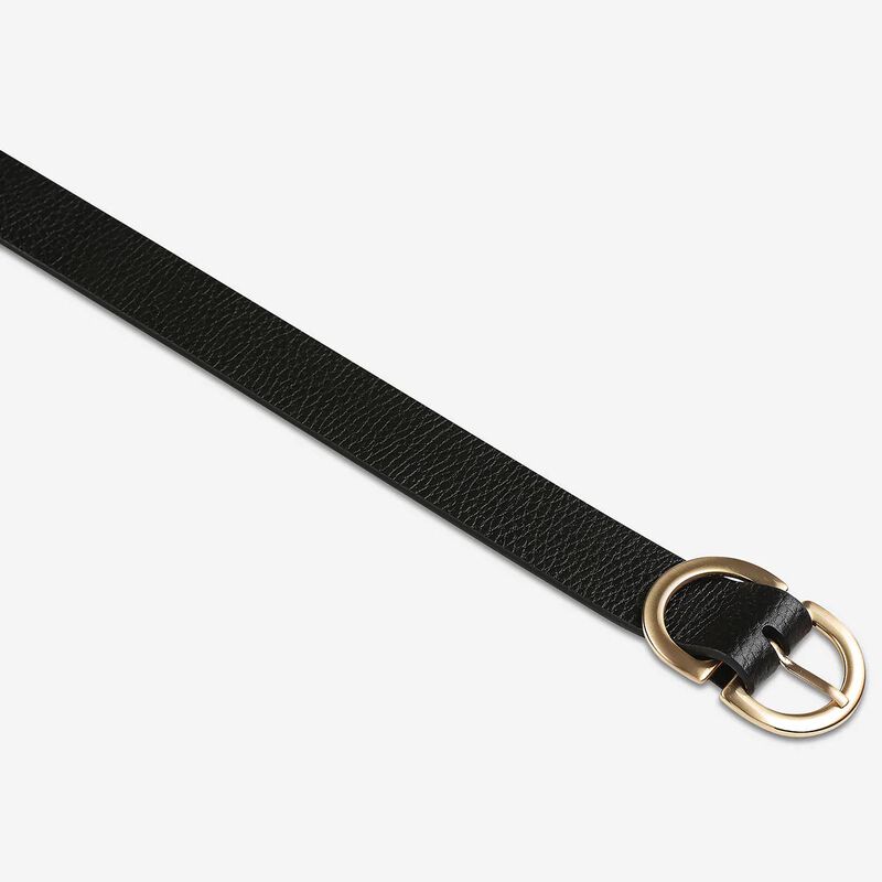 Status Anxiety In Reverse Belt image number 2